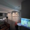 A KNX showroom where sanity and perception meet